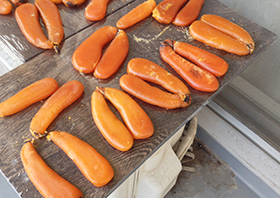 からすみ製造の様子